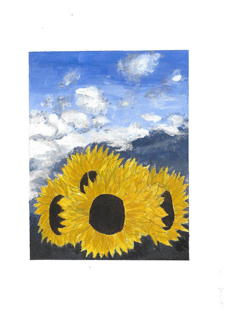 Sunflowers